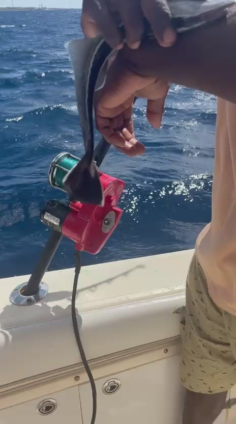 The Ultimate Full-Day Curaçao Deep Sea Fishing Experience